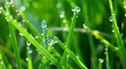 نقطه شبنم (Dew Point) و راه های اندازه گیری آن