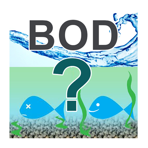 BOD چیست؟